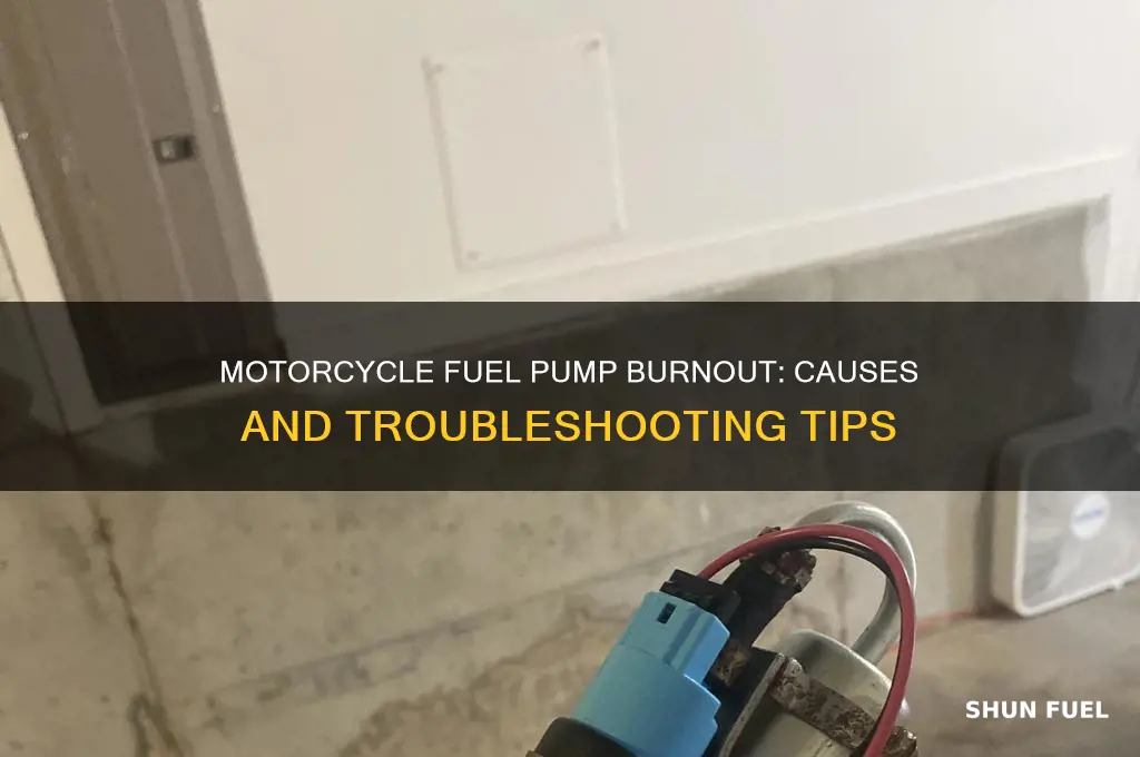 why is my motorcycle burning out fuel pumps