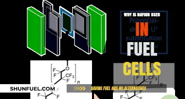Why Nafion is the Preferred Material in Fuel Cell Technology