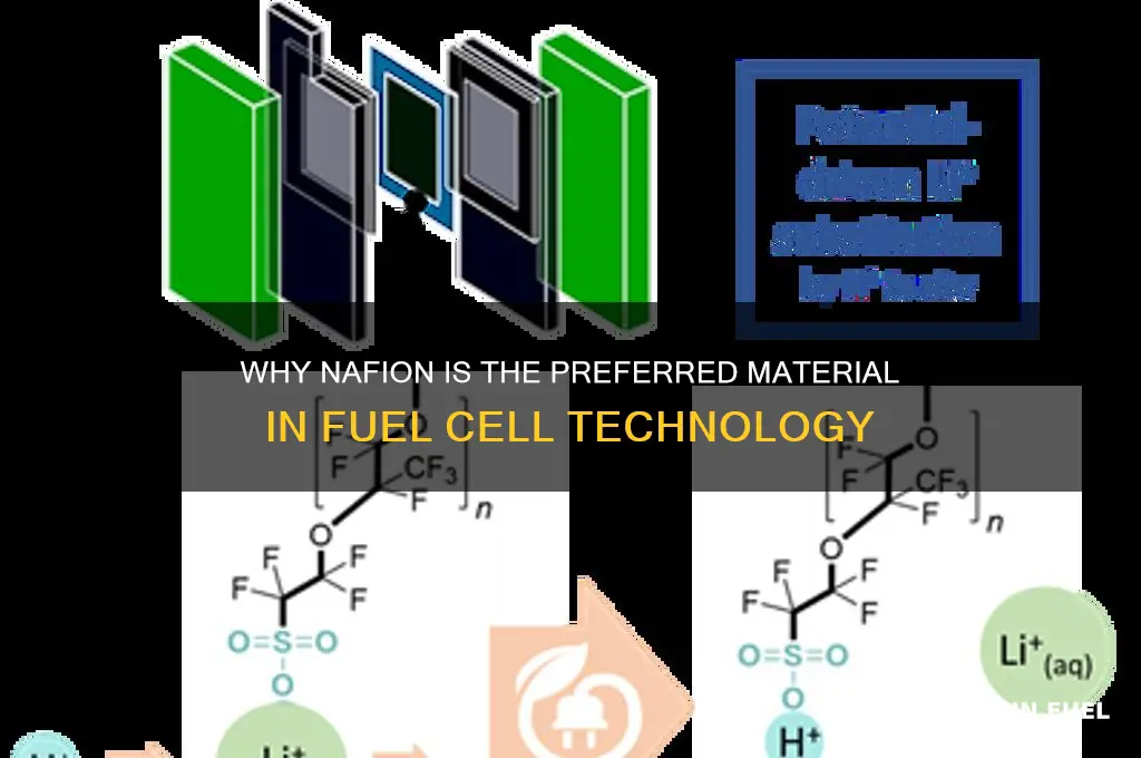 why is nafion used in fuel cells