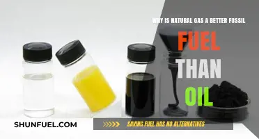Natural Gas vs. Oil: Cleaner, Efficient, and Sustainable Energy Choice