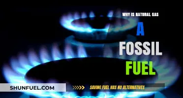Why Natural Gas is Classified as a Fossil Fuel