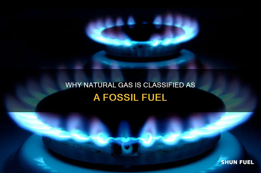 why is natural gas a fossil fuel