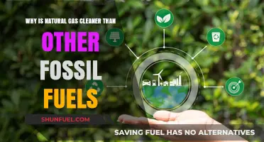 Natural Gas: A Cleaner Fossil Fuel Alternative for Energy Needs