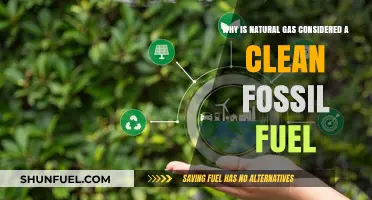 Natural Gas: A Cleaner Fossil Fuel Alternative for Energy Needs