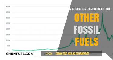 Why Natural Gas Costs Less Than Coal and Oil
