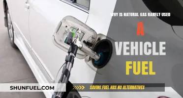 Why Natural Gas Struggles as a Mainstream Vehicle Fuel Option