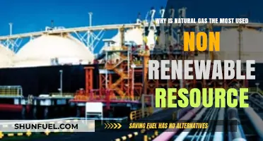 Exploring the Dominance of Natural Gas: A Non-Renewable Resource
