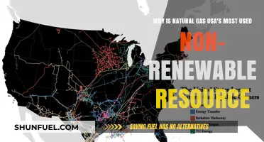 Why Natural Gas Remains USA's Top Non-Renewable Resource