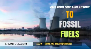 Nuclear Energy: A Clean, Reliable Alternative to Fossil Fuels
