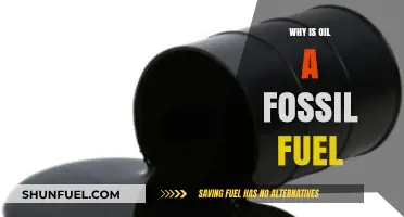 Why Oil is a Fossil Fuel: Origins, Formation, and Impact