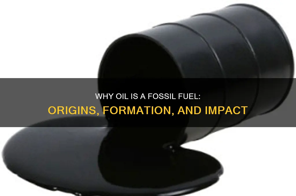 why is oil a fossil fuel