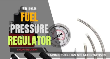 The Fuel Pressure Regulator: Oil's Role Explored