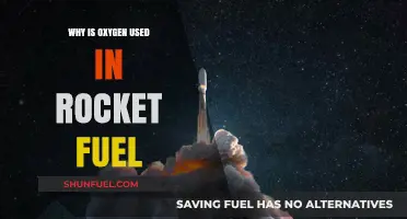 Why Rockets Use Oxygen: The Science Behind Rocket Fuel Combustion