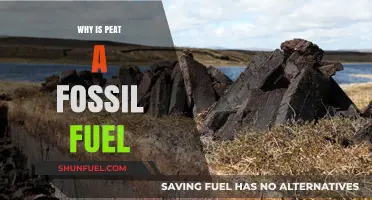 Why Peat is Classified as a Fossil Fuel: Uncovering the Truth