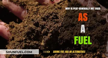 Why Peat is Rarely Used as a Fuel Source Today