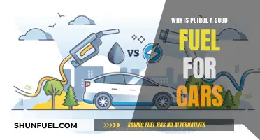 Petrol: The Preferred Fuel for Cars