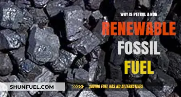 Why Petrol is a Non-Renewable Fossil Fuel: Explained