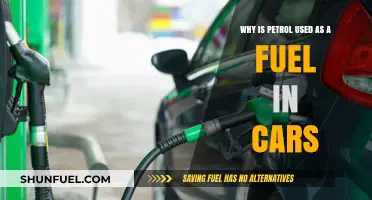 Why Petrol Dominates as the Primary Fuel for Cars