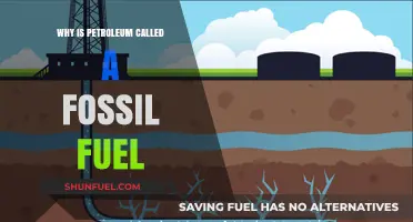 Fossil Fuel Petroleum: Ancient Organisms, Modern Energy