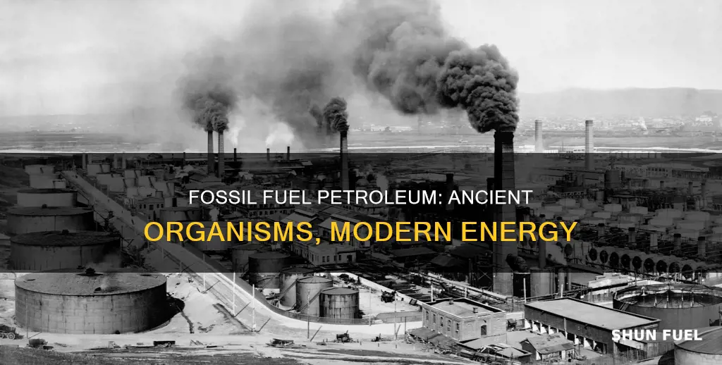 why is petroleum called a fossil fuel