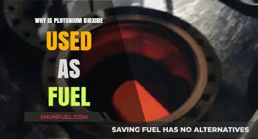 Why Plutonium Dioxide is a Preferred Nuclear Fuel Choice