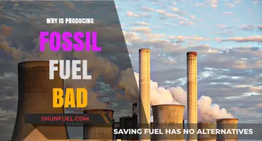 Fossil Fuel Production: Environmental Impacts and Unsustainable Consequences Explained