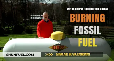 Propane's Clean Burn: A Fossil Fuel with Environmental Advantages