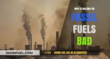 Fossil Fuels' Harmful Impact: Environmental, Economic, and Health Consequences Explained