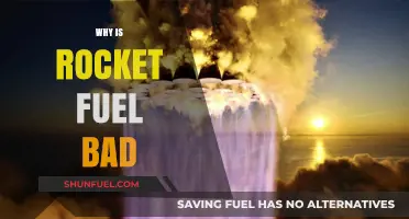 The Environmental Impact of Rocket Fuel: A Critical Analysis