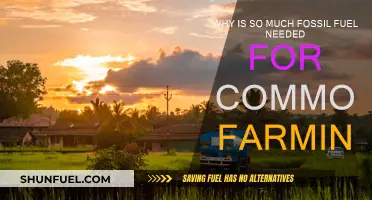 Commodity Farming: Fossil Fuel Dependence