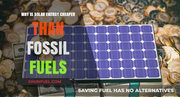 Solar Energy vs. Fossil Fuels: The Cost-Effective Power Shift