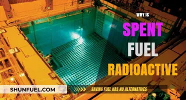Unveiling the Radioactivity of Spent Nuclear Fuel: A Comprehensive Guide