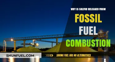 Sulfur Emissions: Uncovering the Role of Fossil Fuel Combustion