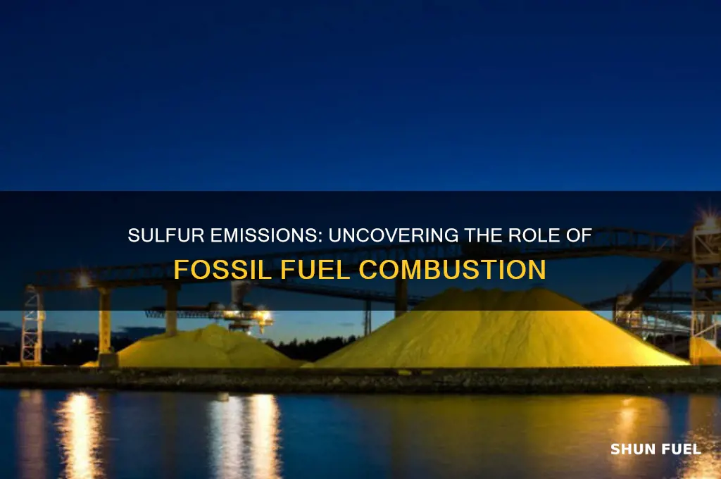 why is sulfur released from fossil fuel combustion