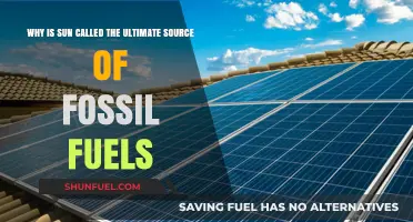Sun's Energy: The Origin of Fossil Fuels Explained