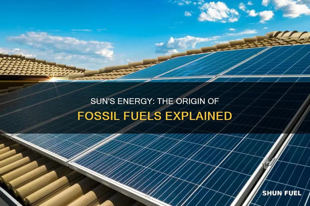 why is sun called the ultimate source of fossil fuels