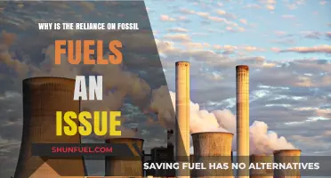 Fossil Fuels' Environmental Impact: A Growing Global Concern