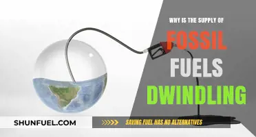 Fossil Fuels Depletion: Causes, Consequences, and the Urgent Need for Alternatives