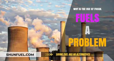 Fossil Fuels' Environmental Impact: A Growing Global Concern Explained