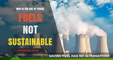 Fossil Fuels: Unsustainable Practices Threatening Our Planet's Future