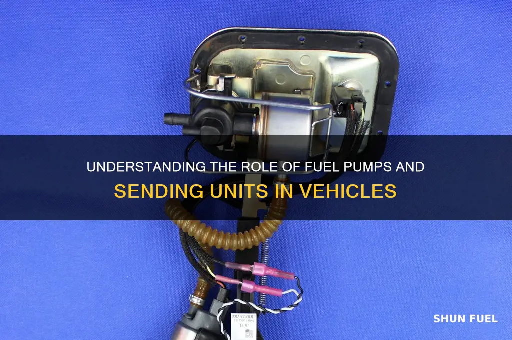 why is there a fuel pump and sending unit