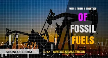 The Looming Crisis: Understanding the Global Fossil Fuel Shortage