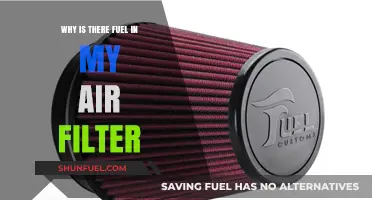 Fuel-Soaked Air Filter: What's the Cause?