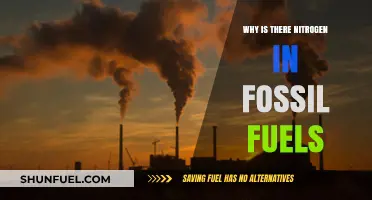 Nitrogen in Fossil Fuels: Origins, Impacts, and Environmental Concerns