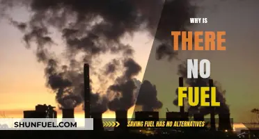 Exploring the Fuel Crisis: Causes and Potential Solutions