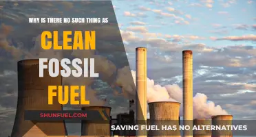 The Myth of Clean Fossil Fuels: Uncovering the Environmental Reality