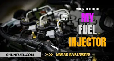 Fuel Injector Maintenance: Oil and its Negative Impact