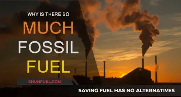 The Abundance of Fossil Fuels: How Did We Get Here?