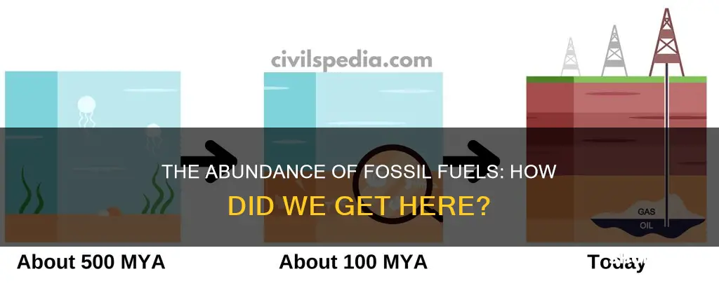 why is there so much fossil fuel