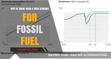 Why Fossil Fuels Remain in High Demand Despite Global Energy Shifts